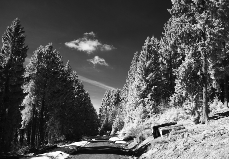 Waldweg