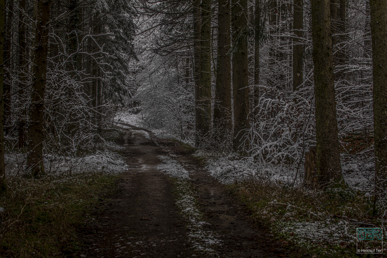 Waldweg