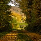 Waldweg