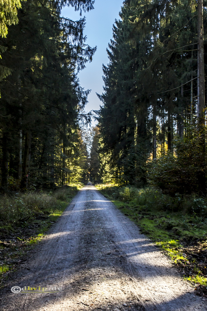 Waldweg