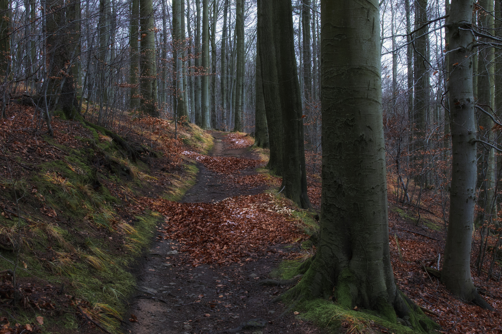 Waldweg