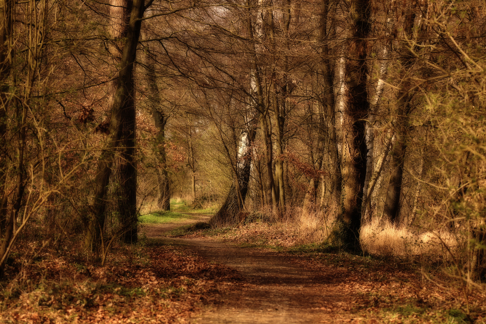 Waldweg