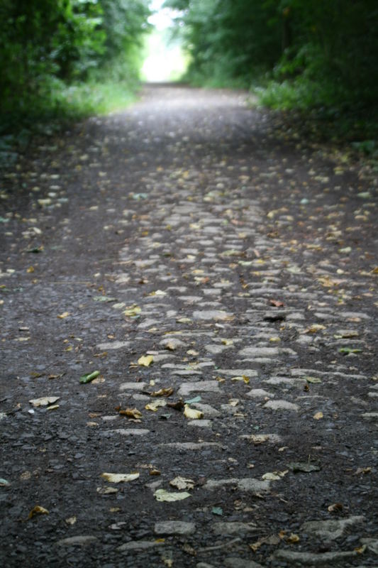 Waldweg