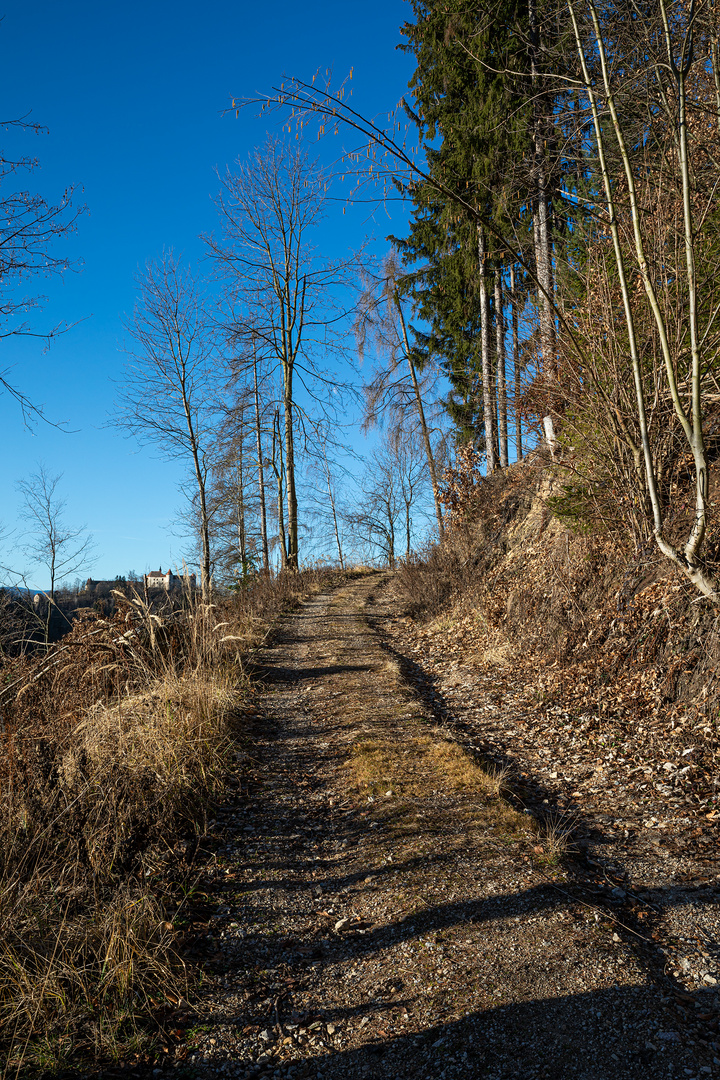 Waldweg