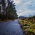 Waldweg