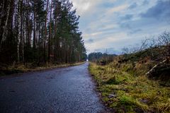 Waldweg