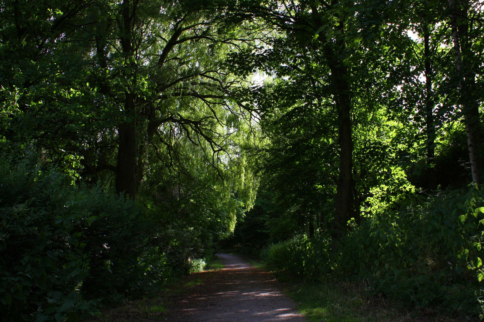 Waldweg