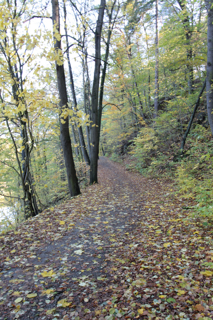 Waldweg