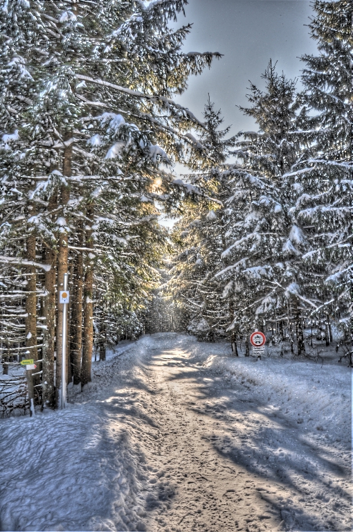 Waldweg