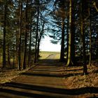 Waldweg