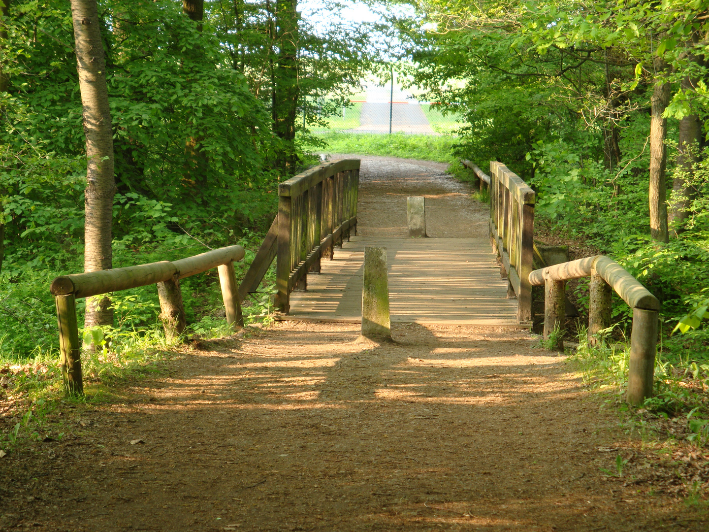 Waldweg