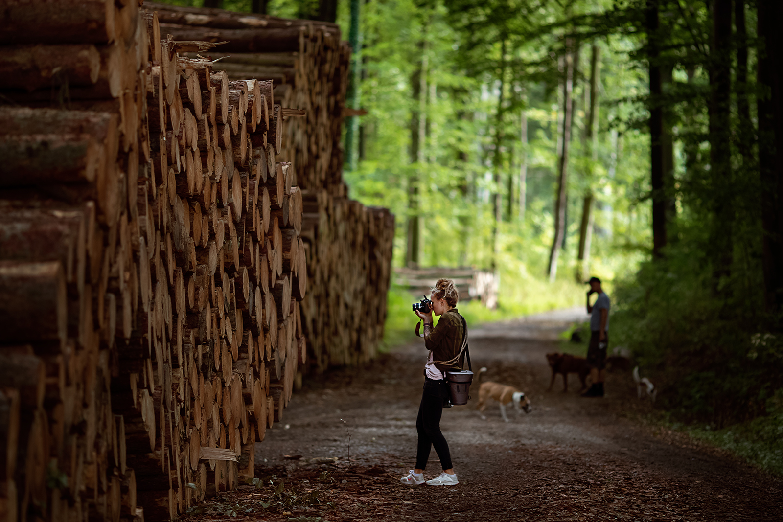 Waldweg