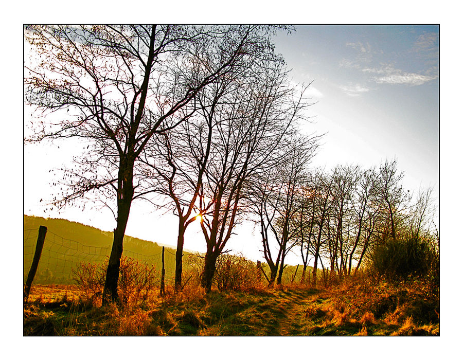 Waldweg