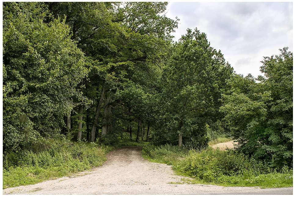 Waldweg