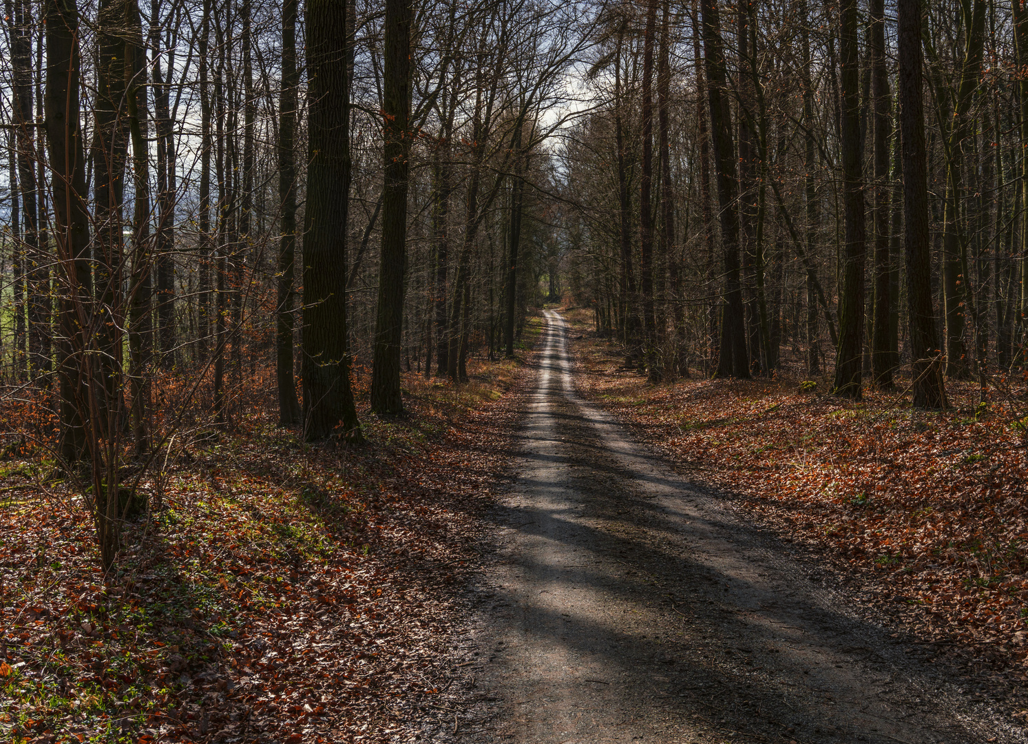 Waldweg