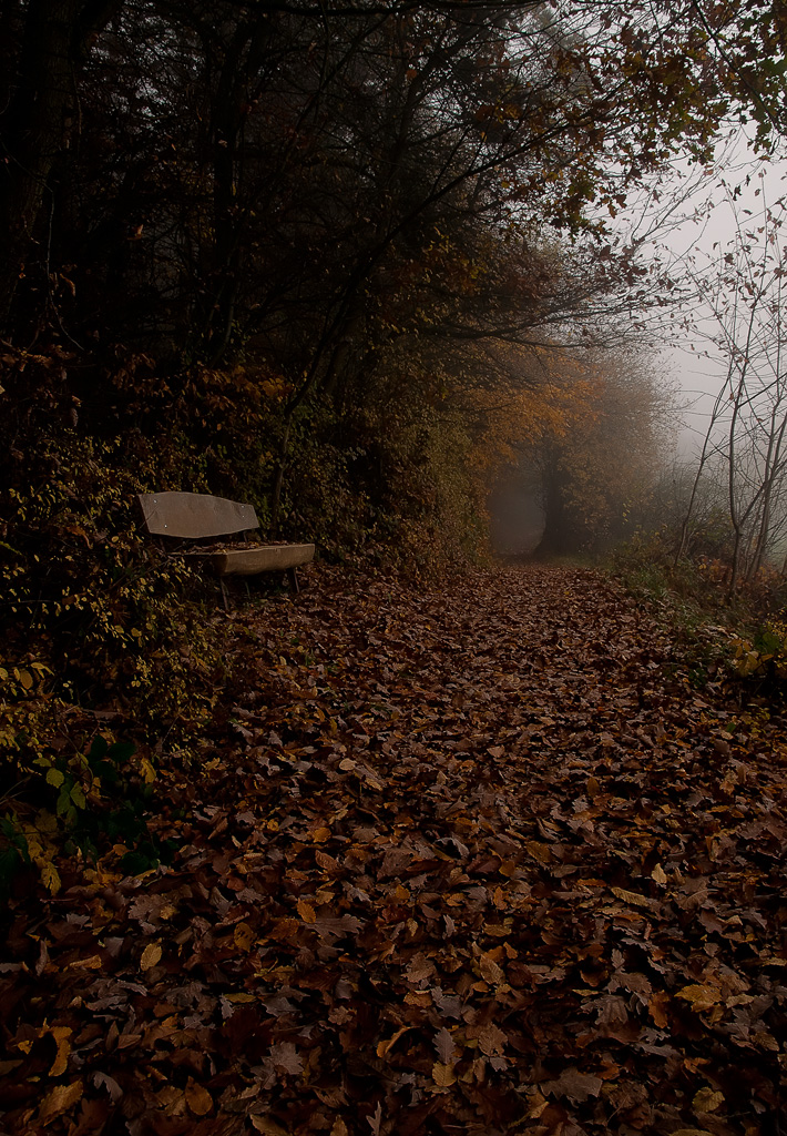 Waldweg