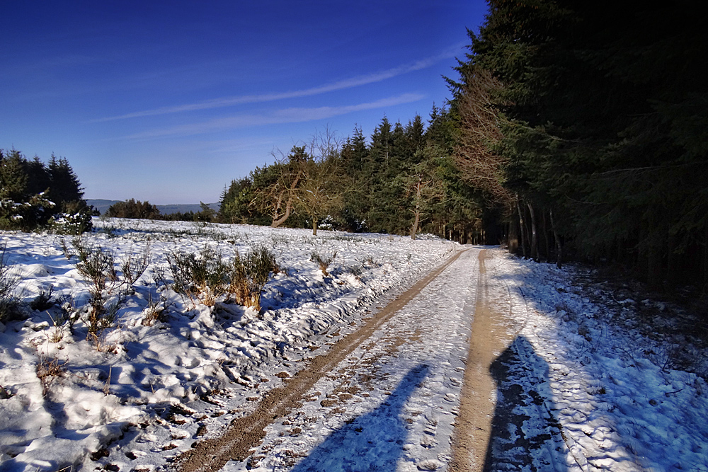 Waldweg