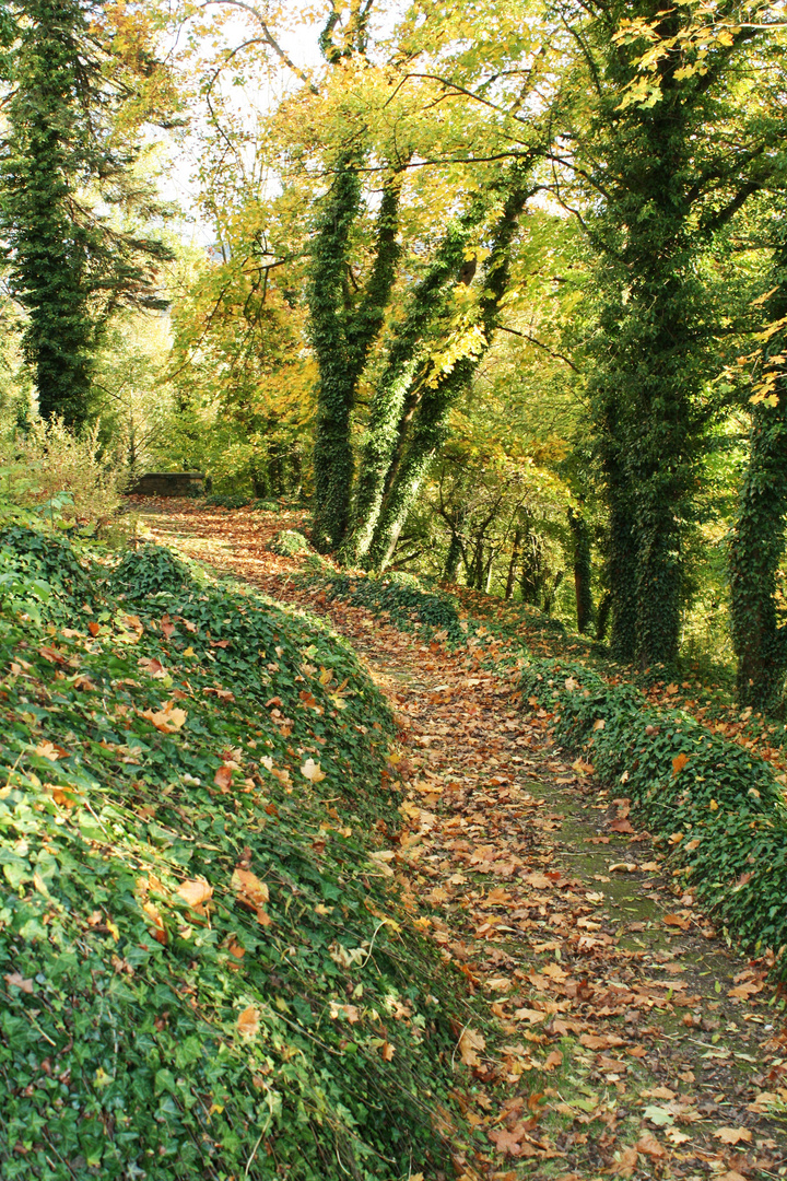 Waldweg