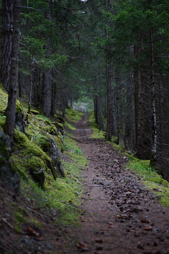 Waldweg