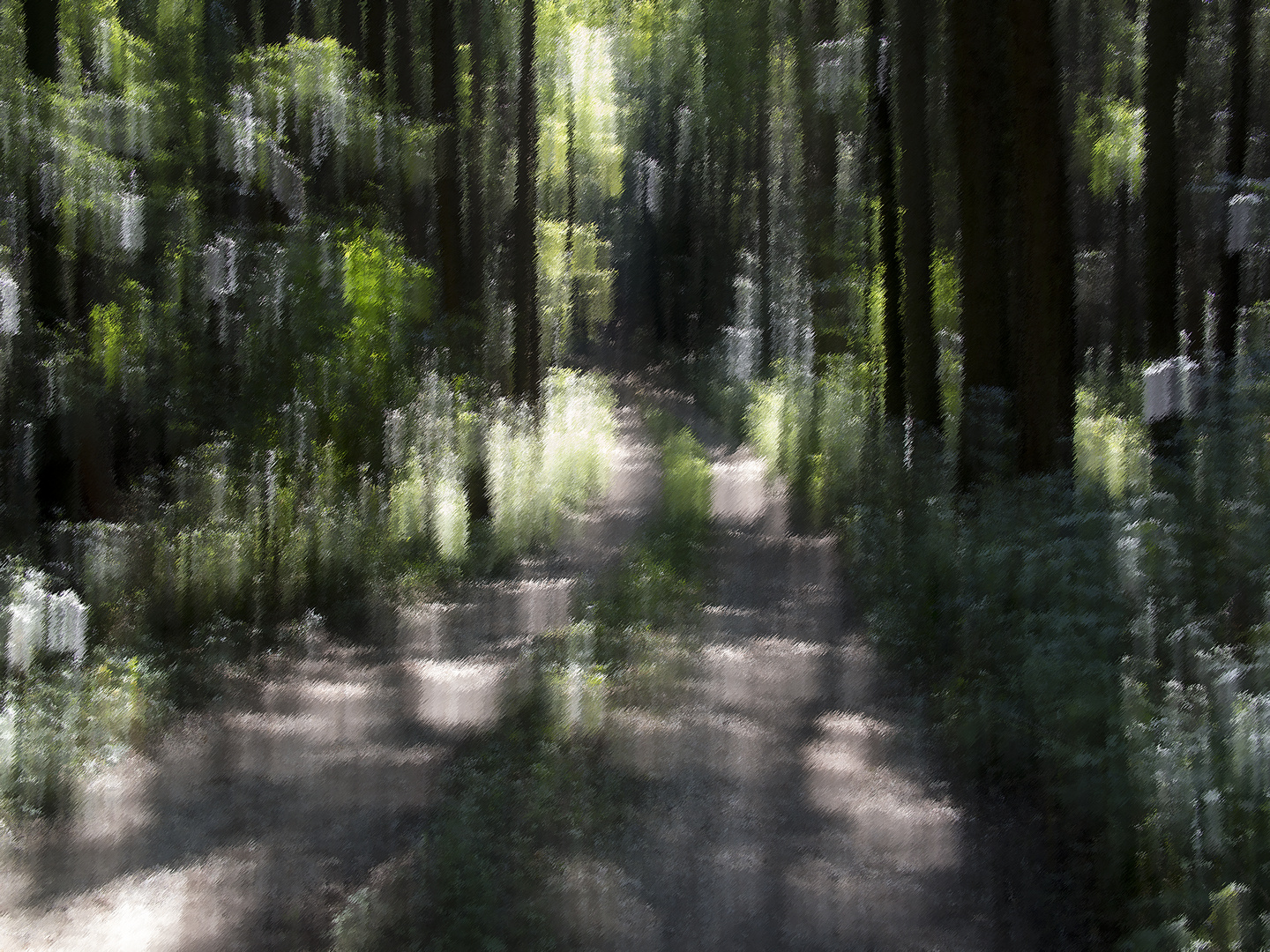 waldweg