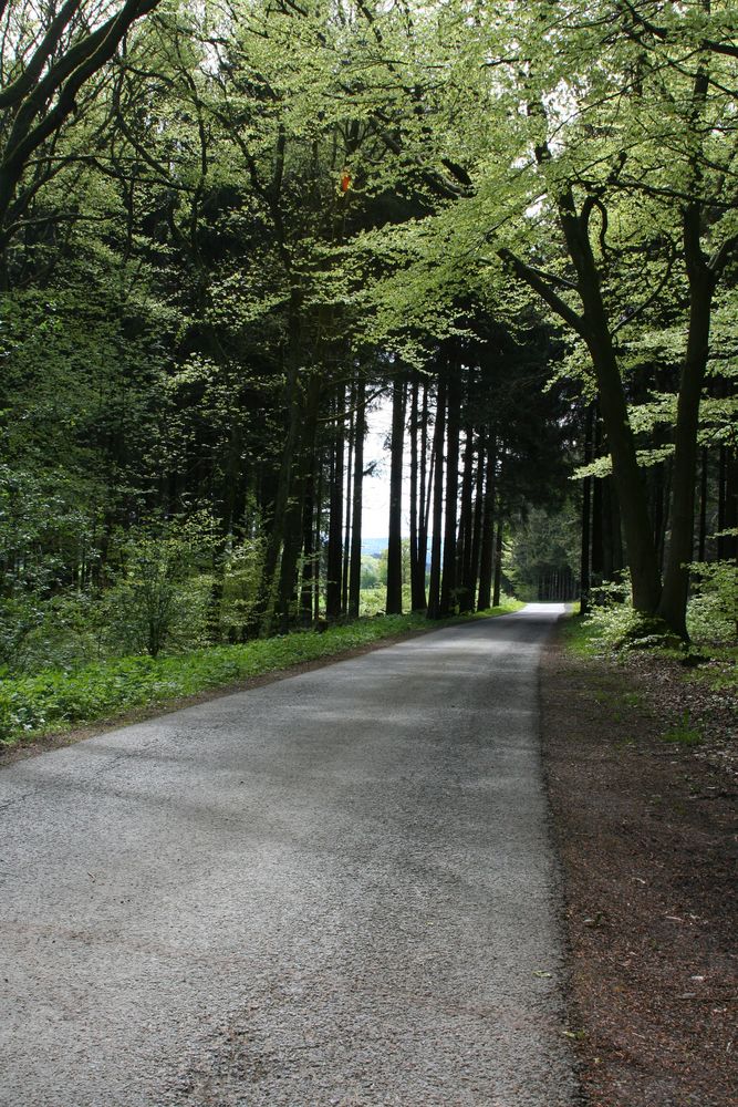 Waldweg