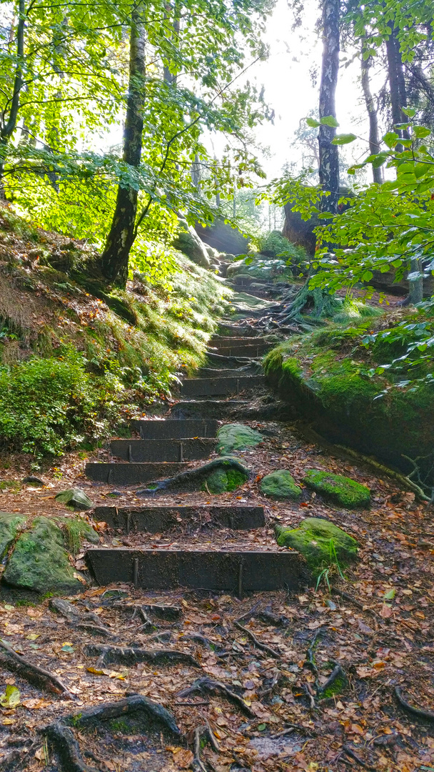 Waldweg