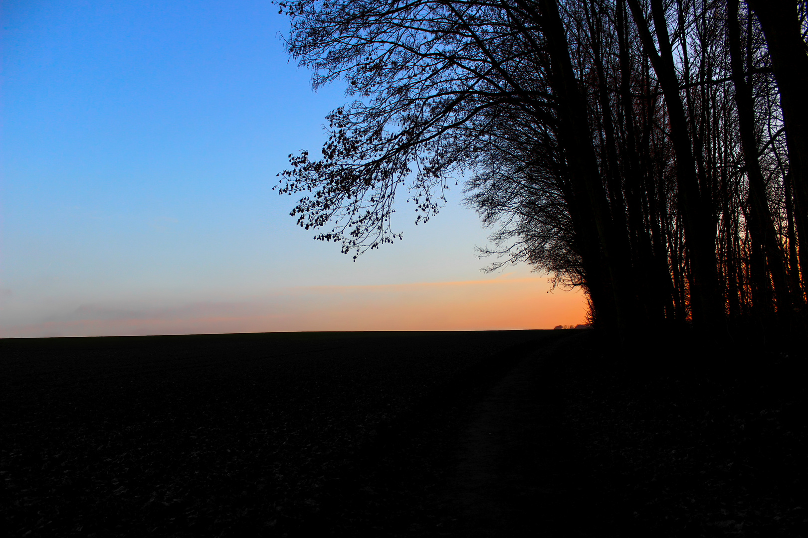 Waldweg & Abenddämmerung