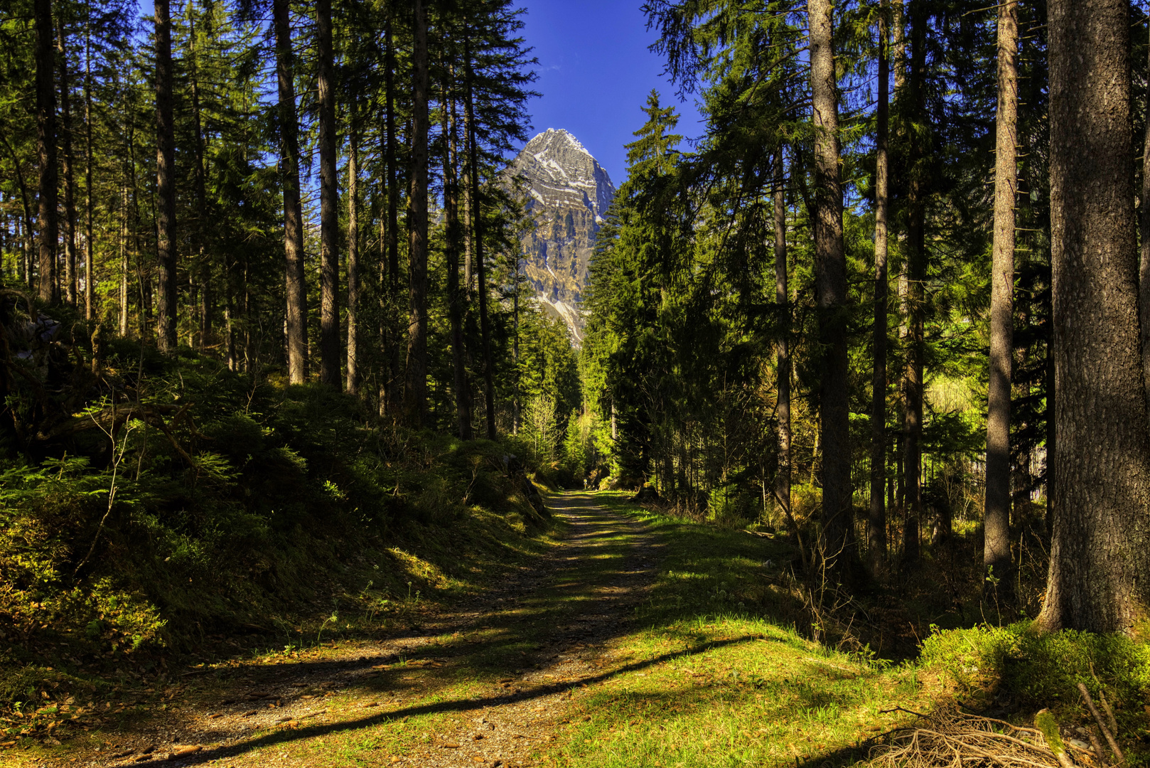 Waldweg