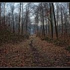 Waldweg