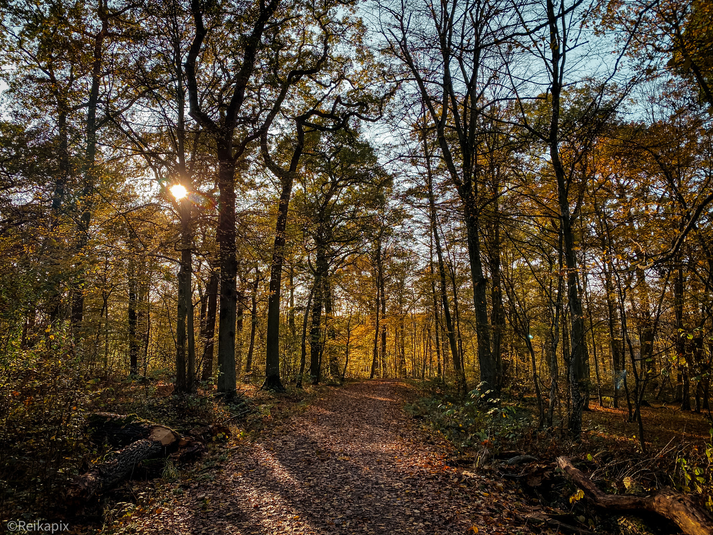 Waldweg