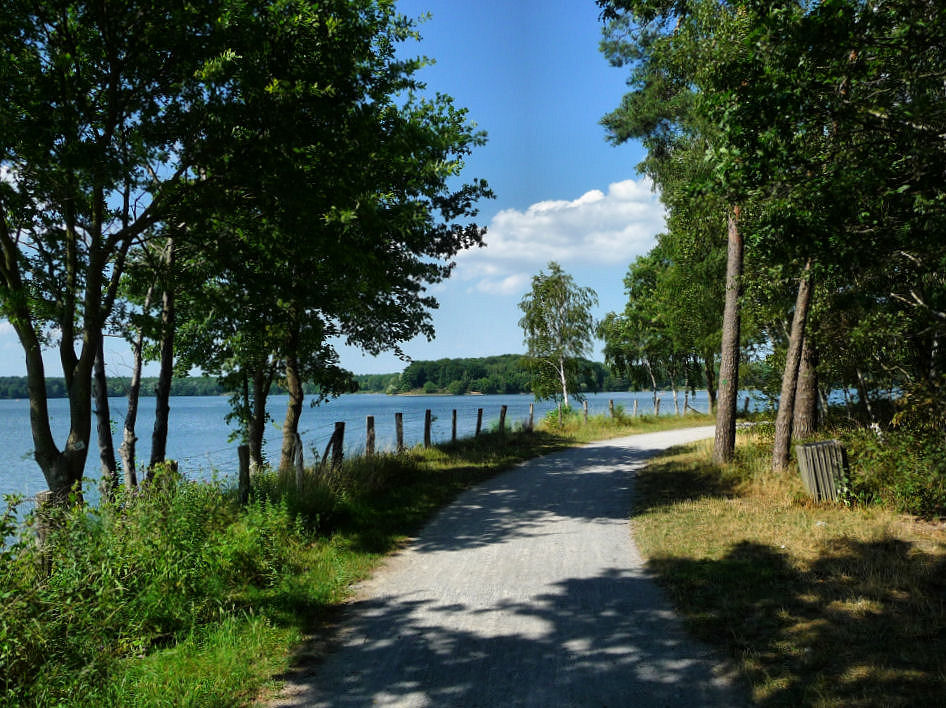 Waldweg am Halterner Stausee