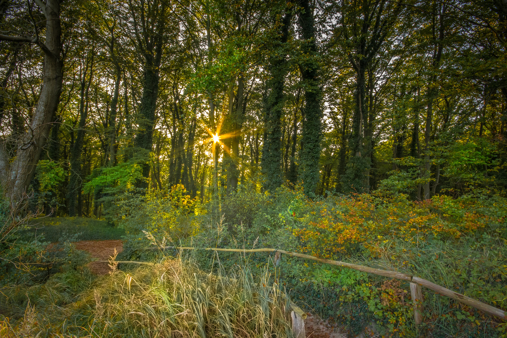 Waldweg am Streckelsberg 