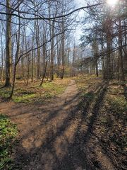 Waldweg auf der Steilküste