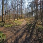 Waldweg auf der Steilküste