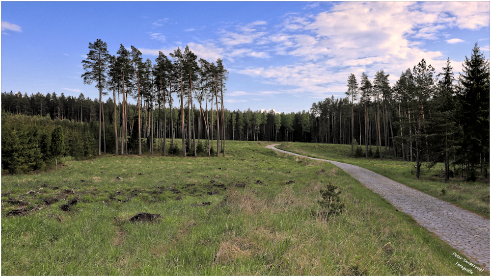 Waldweg aus Kopfsteinpflaster