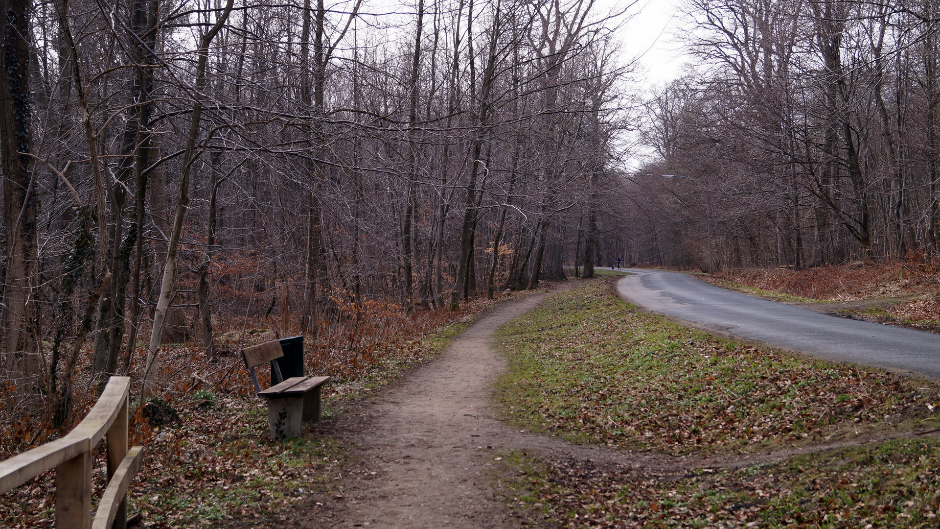 WALDWEG