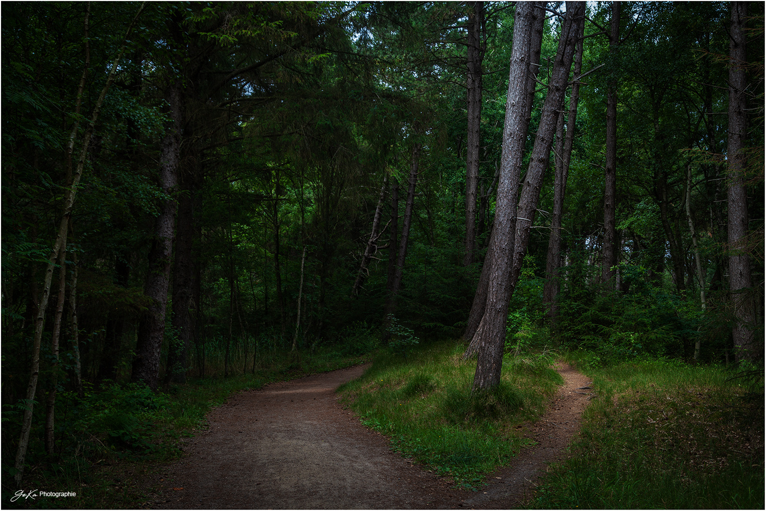 Waldweg