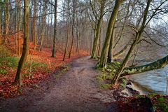 Waldweg