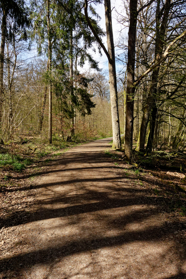 Waldweg