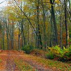 Waldweg