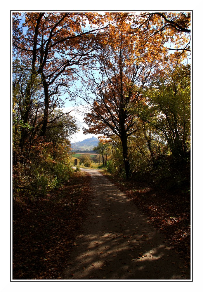 Waldweg BB