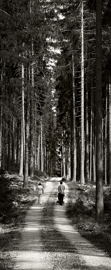 Waldweg