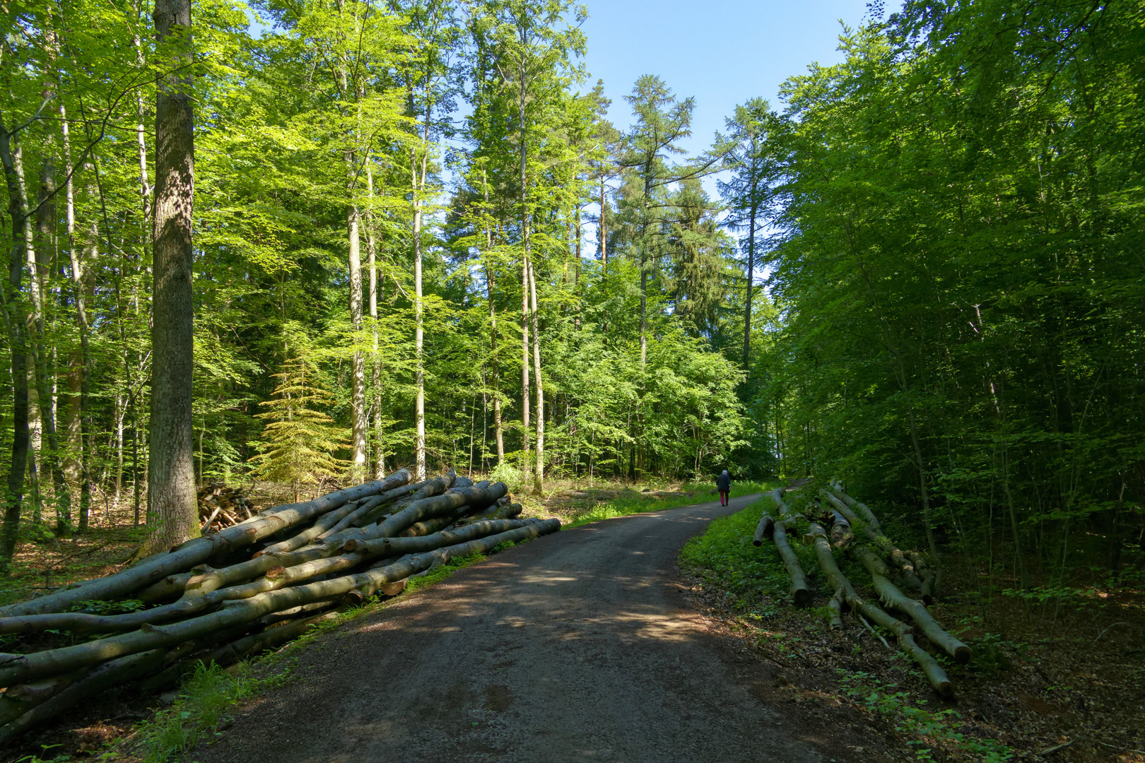 Waldweg