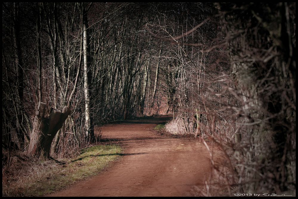 Waldweg