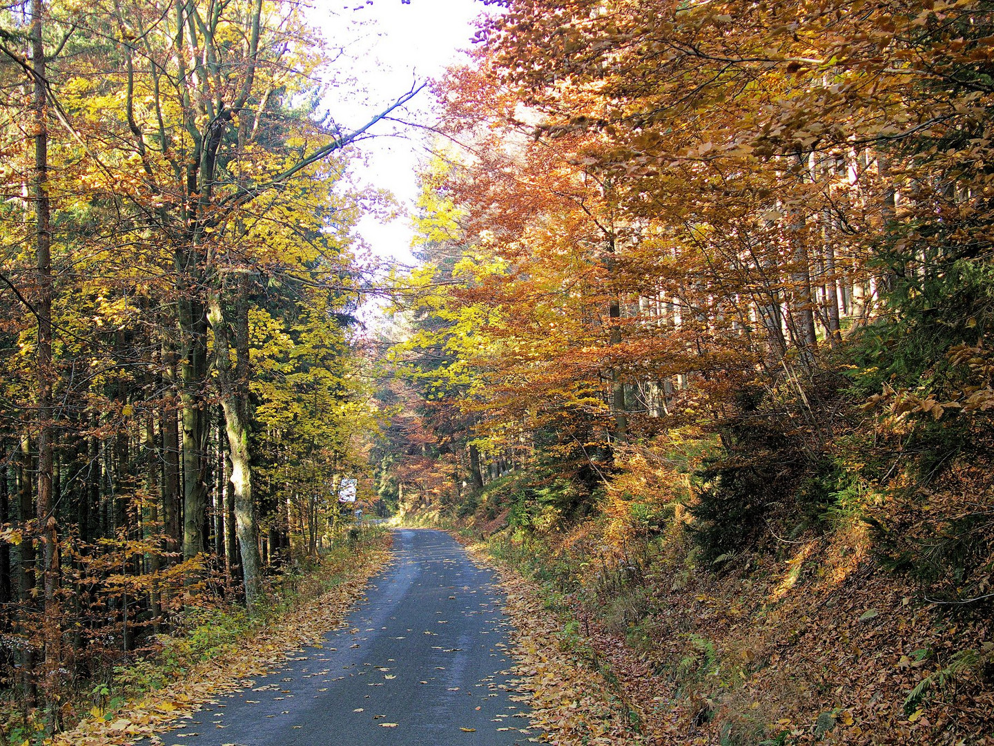 Waldweg