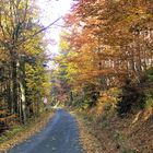 Waldweg