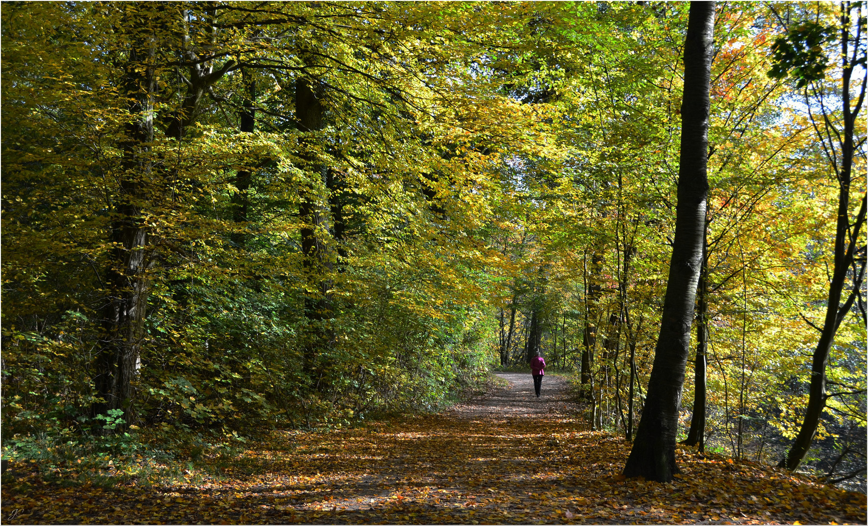 Waldweg