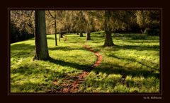 Waldweg