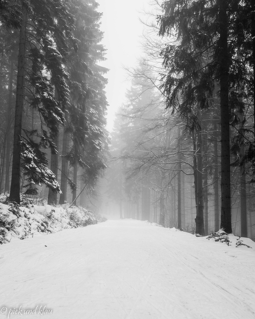 Waldweg bnw