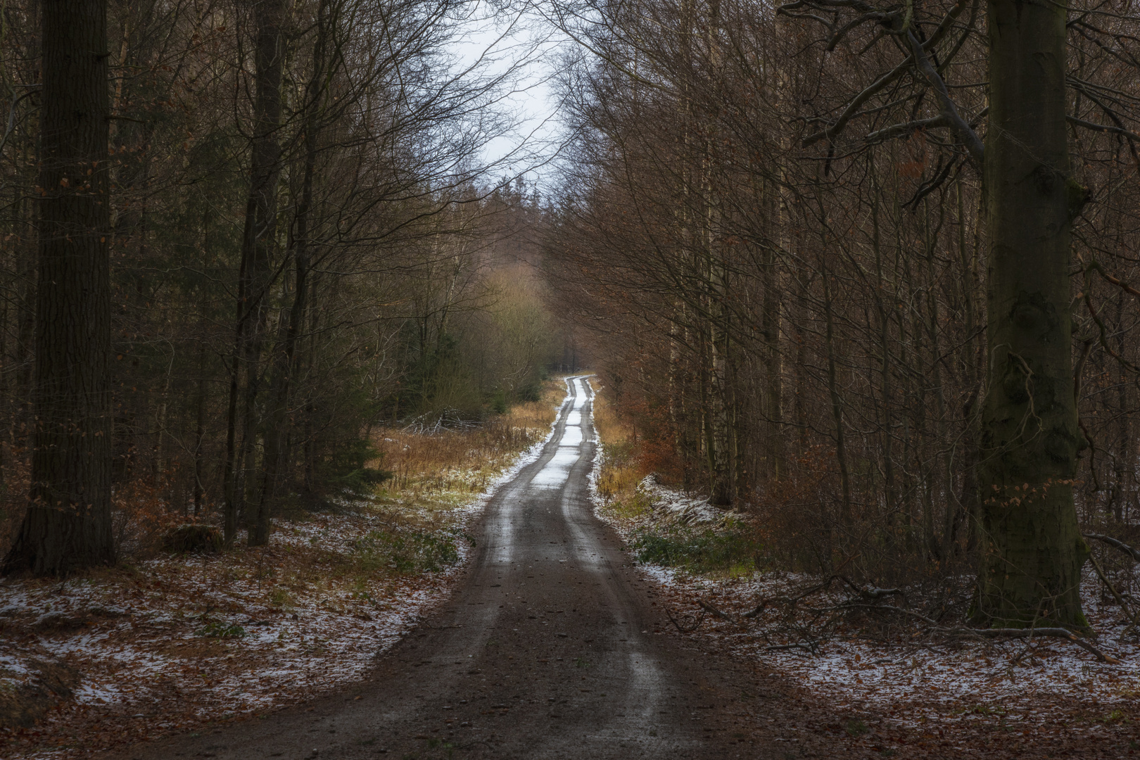 Waldweg